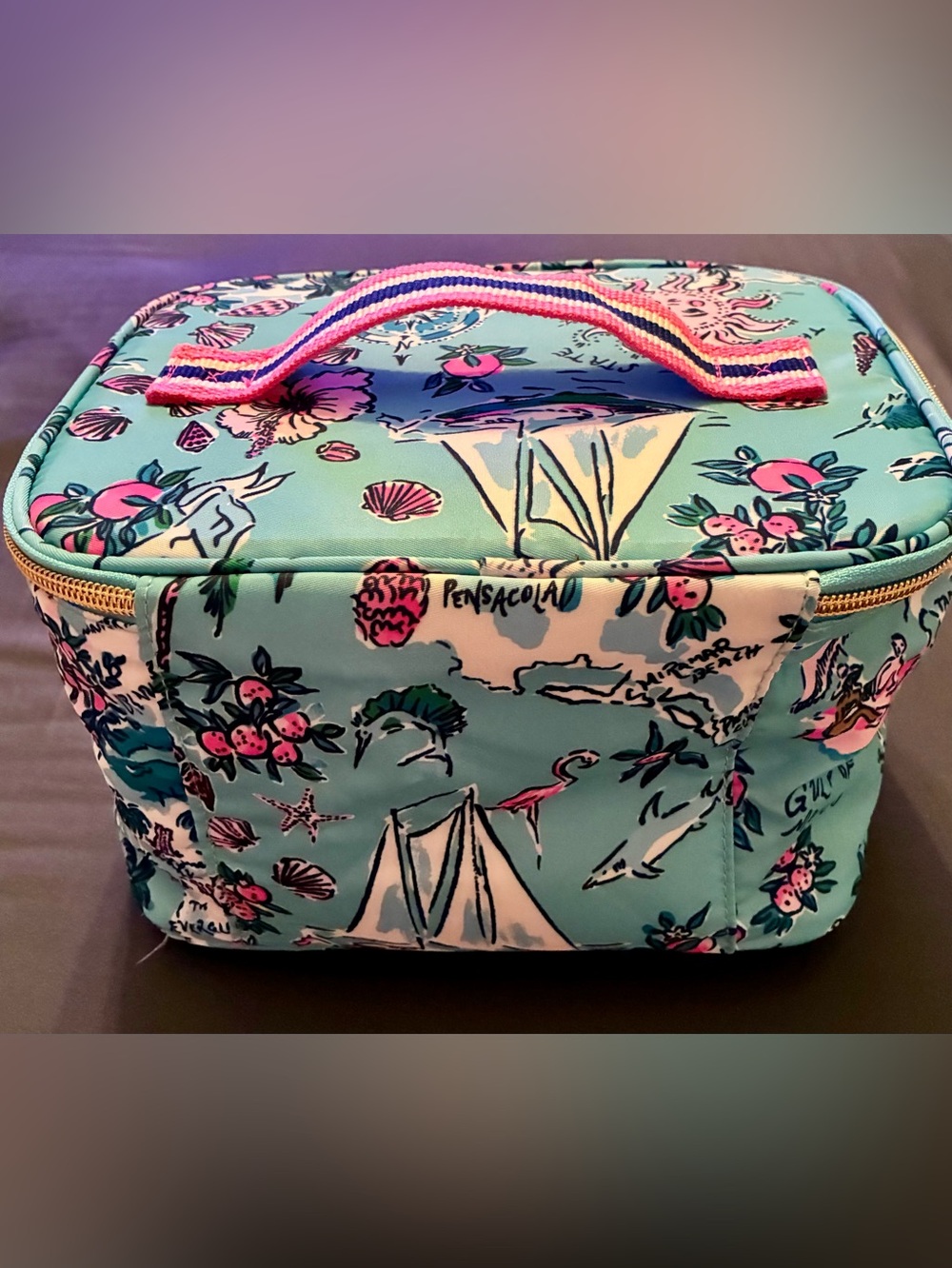 Travel Cosmetic Case - Adorable Florida Destinations Print - Picture 3 of 4
